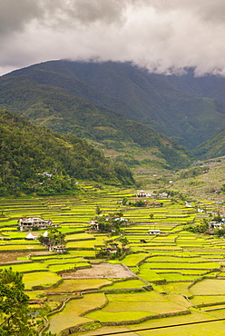 Hapao, Luzon, Philippines, Southeast Asia, Asia