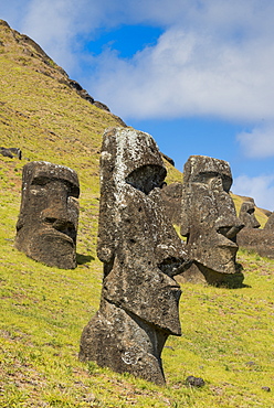 Moai heads of Easter Island, Rapa Nui National Park, UNESCO World Heritage Site, Easter Island, Chile, South America