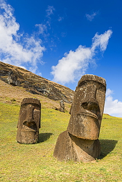 Moai heads of Easter Island, Rapa Nui National Park, UNESCO World Heritage Site, Easter Island, Chile, South America