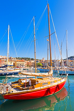 Boats in Cassis harbour, Bouches du Rhone, Provence, Provence-Alpes-Cote d'Azur, French Riviera, France, Mediterranean, Europe