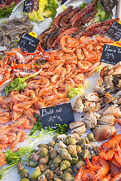 Fresh seafood, Aix en Provence, Bouches du Rhone, Provence, Provence-Alpes-Cote d'Azur, France, Europe