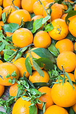 Oranges, Aix en Provence, Bouches du Rhone, Provence, Provence-Alpes-Cote d'Azur, France, Europe