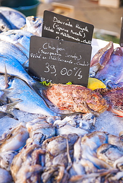 Fish market in Aix en Provence, Bouches du Rhone, Provence, Provence-Alpes-Cote d'Azur, France, Europe