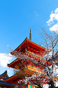 Kiyomizu-dera temple, UNESCO World Heritage Site, Kyoto, Japan, Asia