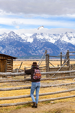 Mormon Row and Teton Range, Grand Teton National Park, Wyoming, United States of America, North America