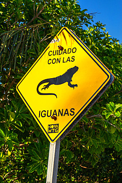 Mexican and foreign tourists in the Caribbean beaches of Cancun, Quintana Roo state,Mexico