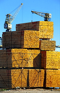 Chile, timber for export san vicente, southern chile. January 2000.