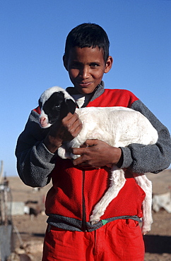 Western sahara. Child and goat in polisario smara camp.