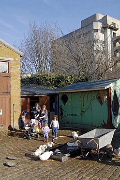 Uk. visiting the hackney city farm in east london