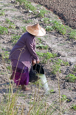 Myanmar (burma) watering rice paddies near amarapura on the irrawady river