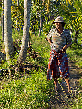 Rice farmer in the highlands in Bali, Indonesia, Southeast Asia, Asia