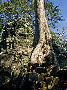 Angkor Wat Archaeological Park, UNESCO World Heritage Site, Siem Reap, Cambodia, Indochina, Southeast Asia, Asia