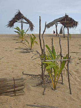 Beach near Tangalle on the southern coast of Sri Lanka, Asia