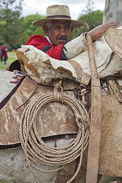 Parade of gauchos in traditional costumes in Salta, Argentina, South America