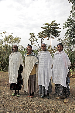 Women with traditional dress in the Jimma region of Ethiopia, Africa