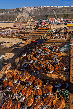 Local fisherman sun drying fish in the fishing village of Nazare in Portugal, host to one of the World's major surf competitions with 30m waves