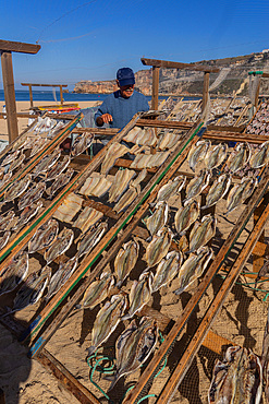 Local fisherman sun drying fish in the fishing village of Nazare in Portugal, host to one of the World's major surf competitions with 30m waves