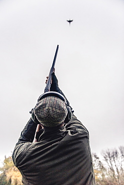 Vertical image of a gun aiming at a pheasant flying overhead, United Kingdom, Europe