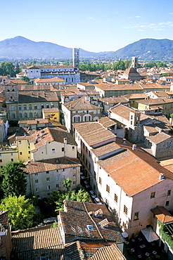 View south from Guinici Tower of city rooftops and cathedral, Lucca, Tuscany, Italy, Europe