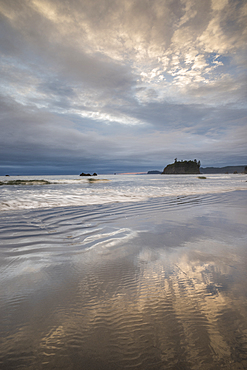 First Beach at dawn, Olympic National Park, UNESCO World Heritage Site, Washington State, United States of America, North America