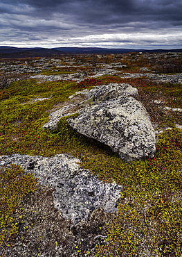 Lichen covered rocks on high fell, Kilpisjarvi, Lapland, Finland, Europe