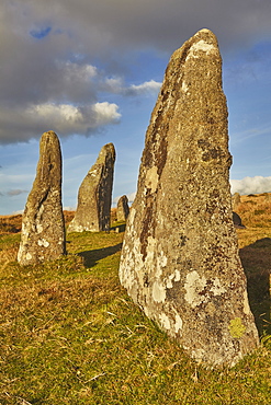 Ancient prehistoric standing stones in a stone circle, Scorhill Stone Circle, Dartmoor National Park, Devon, England, United Kingdom, Europe