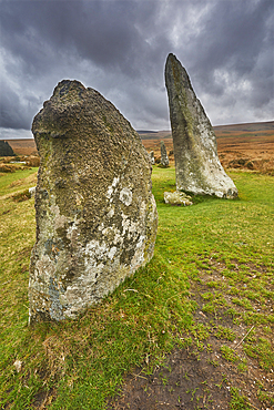 Scorhill Stone Circle, ancient stones in a prehistoric stone circle, on open moorland, Scorhill Down, near Chagford, Dartmoor National Park, Devon, England, United Kingdom, Europe