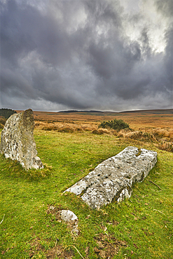 Scorhill Stone Circle, ancient stones in a prehistoric stone circle, on open moorland, Scorhill Down, near Chagford, Dartmoor National Park, Devon, England, United Kingdom, Europe