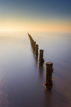 Groynes, Brean Beach, Somerset, England, United Kingdom, Europe