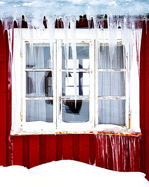 Frozen icicles on a traditional Rorbu window in winter, Nordland, Lofoten Islands, Norway, Europe