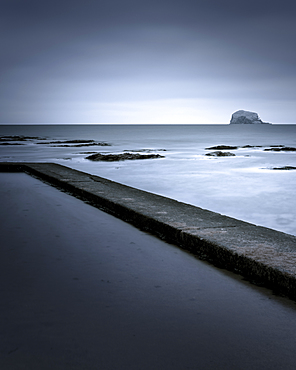 Bass Rock, Firth of Forth, Scotland, United Kingdom, Europe