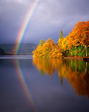 Autumn at Loch Ard, Trossachs, Scotland, United Kingdom, Europe