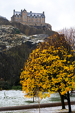 Edinburgh castle in the snow with an autumnal tree in the foreground, Edinburgh, Scotland, UK