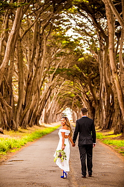 Couple in engagement dress, Marin, California, United States of America, North America