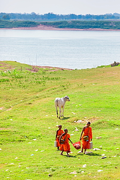 Monk boys with goat walking toward river in Cambodia, Indochina, Southeast Asia, Asia