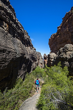 Trekking in the Cederberg mountains, Western Cape, South Africa, Africa