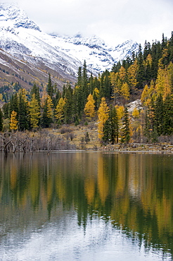 Mount Siguniang, an area of outstanding natural beauty in Sichuan Province, China, Asia