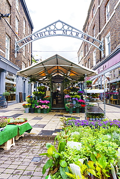 Shambles Market, York, North Yorkshire, England, United Kingdom, Europe