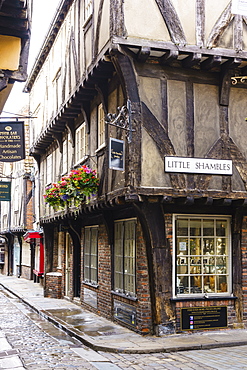 The Shambles, a preserved medieval street in York, North Yorkshire, England, United Kingdom, Europe