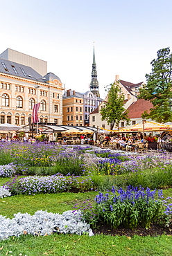 Livu Square, Old Town, UNESCO World Heritage Site, Riga, Latvia, Europe