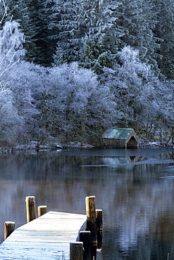 Loch Ard in mid-winter, with hoar frost, Aberfoyle, Loch Lomond and the Trossachs National Park, Stirling District, Scotland, United Kingdom, Europe