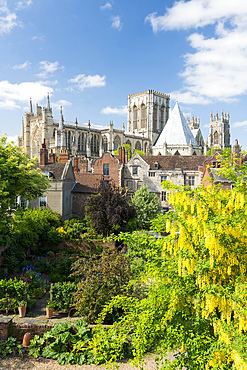 York Minster viewed from the bar Walls in summer time, York, Yorkshire, England, United Kingdom, Europe