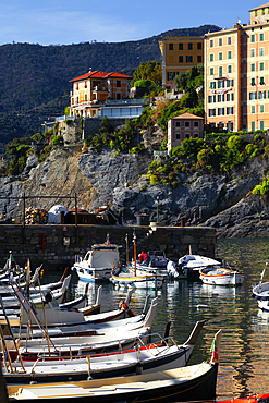 Camogli, a fishing village and tourist resort located on the west side of the peninsula of Portofino, Camogli, Liguria, Italy, Europe