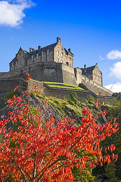 Autumn foliage and Edinburgh Castle, West Princes Street Gardens, Edinburgh, Scotland, United Kingdom, Europe