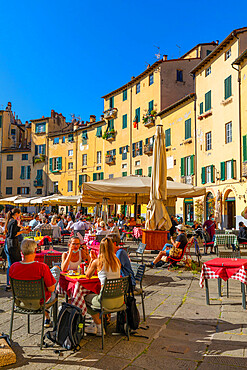 Eating and drinking outdoors, Piazza dell'Anfiteatro, Lucca, Tuscany, Italy, Europe