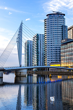 Media City UK, footbridge, swan in foreground, Salford Quays, Greater Manchester, England, United Kingdom, Europe