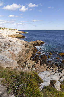 Rocky Shoreline at Duncan's Cove Nature Reserve, Nova Scotia, Canada