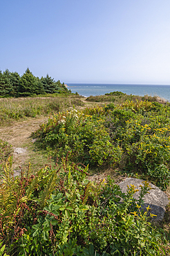 Lawrencetown Provincial Park, Nova Scotia, Canada