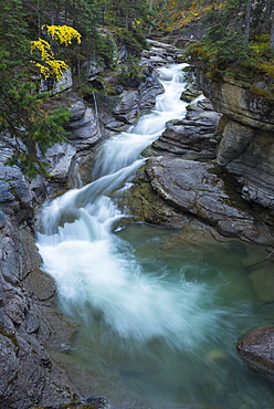 River flowing through Maligne Canyon with autumn foliage, Jasper National Park, UNESCO World Heritage Site, Alberta, Canada, North America