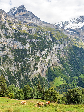 Swiss Alps, mountain scene, Switzerland, Europe